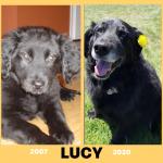 Lucy (aka layla)  Image